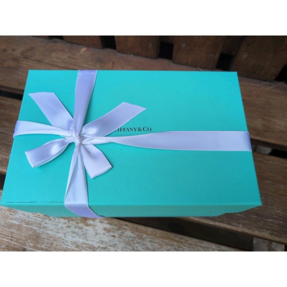 TIFFANY & CO Set of 2 Stemless Wine Glasses NEW NIB